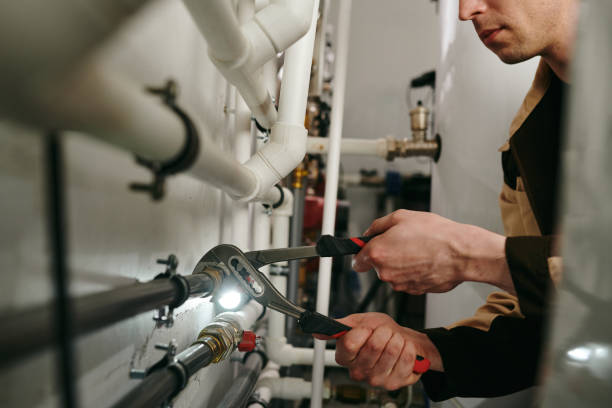 Best Local Plumber Services  in North El Monte, CA